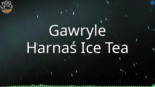 Gawryle  Harnaś Ice Tea cover gitara TABY w opisie [upl. by Berny]