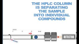 How HPLC Columns Work [upl. by Rotceh]