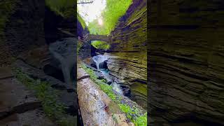 Trail behind Waterfalls into the central gorge in Watkins Glen state park Upstate New York [upl. by Orfield392]