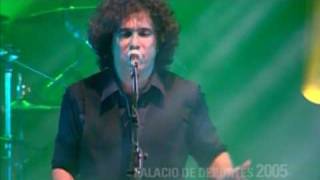 Andrés Calamaro  Flaca 1997  2005 [upl. by Bathesda336]