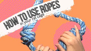 Ropes for Rat Cages How To [upl. by Engracia988]