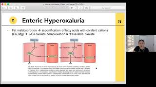 VMMC Campbell lecture series Urinary lithiasis [upl. by Ednalrym]