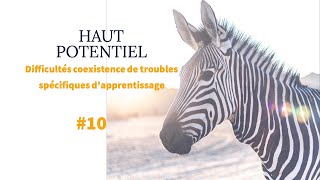 Lindividu à HAUT POTENTIEL 10  Difficultés coexistence de troubles spécifiques dapprentissage [upl. by Annagroeg]