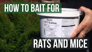 Eratication Peanutbutter Rat and Mouse Poison Bait Blocks How to bait for rats and mice [upl. by Yraccaz]