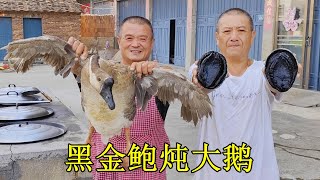 940買3個黑金鮑魚，炖上家養的老鵝，出鍋瞬間看餓了 [upl. by Onin58]