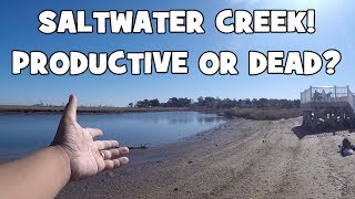 PRODUCTIVE OR DEAD Exploring amp Fishing a SALTWATER CREEK in NJ Absecon NJ [upl. by Orenid]