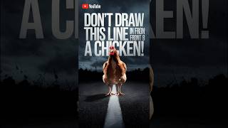 quotDont Draw This Line in Front of a Chickenquot viralvideo [upl. by Leesa147]