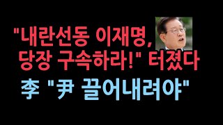 이재명 드디어 본색 드러냈다 quot윤대통령 끌어내려야 한다quot 자신의 구속 임박해니까 선동 폭주이재명 구속 촉구 범국민운동 [upl. by Bassett]