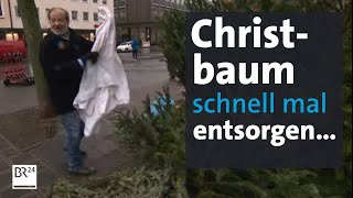 Bitte kein wildes ChristbaumWegwerfen  Abendschau  BR24 [upl. by Armitage]