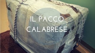 Il pacco da giù  Dalla Calabria a Vienna [upl. by Laughton390]