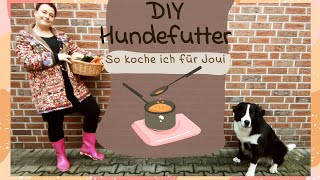 quotDIYquot Hundefutter selber kochen [upl. by Terri]