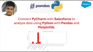 Connect PyCharm with Salesforce to analyze data using Python with Pandas and Matplotlib [upl. by Elleimac396]