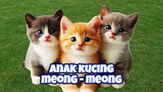 KUCING MEONG MEONG‼️ KOMPILASI KUCING LINCAHLINCAH‼️LAGU KUCING MEONG MEONG kucinglucu [upl. by Mira]