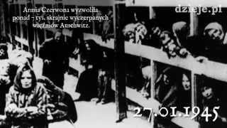 70 rocznica wyzwolenia niemieckiego obozu KL Auschwitz FOTOKAST [upl. by Newlin653]