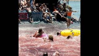 Piranha 3D  Movie Review [upl. by Mrots]