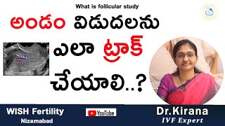 అండం విడుదలను ఎలా ట్రాక్ చేయాలి  What is follicular study  Dr Kirana [upl. by Eirrab]