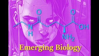 Microdosing and Vasoconstriction Ltheanine and other Vasodilator options [upl. by Yxel707]