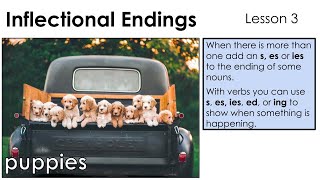 Inflected Endings s es ies  Lesson 3 [upl. by Narrad]