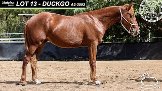 Nutrien DispersalReduction Sale  Lot 13 DUCKGO [upl. by Aivart734]