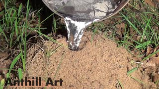 Casting Another Fire Ant Colony with Molten Aluminum Cast 061 [upl. by Xad]