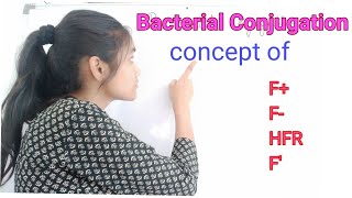 Bacterial conjugation  F  F HFR F bacteria by Himanshi [upl. by Yrovi906]