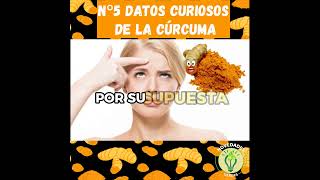 shorts Datos Curiosos De La Curcuma N5 curcuma especies [upl. by Hicks]