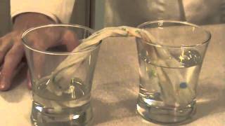 Capillary Action Experiment [upl. by Elboa]