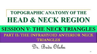 INFRAHYOID ANTERIOR NECK TRIANGLES  MUSCULAR TRIANGLE CAROTID TRIANGLE amp INFRAHYOID NECK SPACES [upl. by Nesyla]