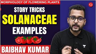 Story Tricks  Solanaceae Family  Examples  Morphology of Flowering Plants  Baibhav Sir [upl. by Tosch]