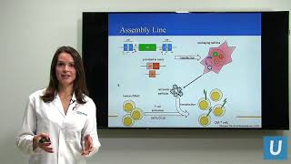 CAR T at UCLA Driving the Progress of Engineered Cell Therapy  Sarah Larson MD  UCLAMDChat [upl. by Acul307]