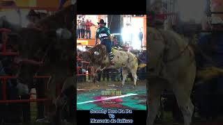 Mascota de Jalisco 🆚 El Escubidoo de la Hermandan Jalisciense toros jaripeo ranchero ganaderias [upl. by Carberry457]