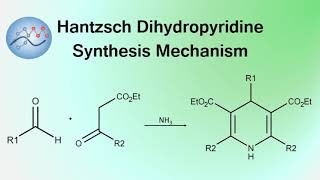 Hantzsch Dihydropyridine Synthesis Mechanism  Organic Chemistry [upl. by Fraze]