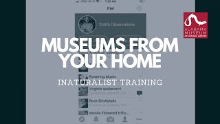 Museums From Your Home iNaturalist Training [upl. by Iaka]