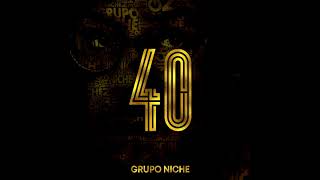 soltero grupo niche [upl. by Anialahs166]