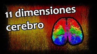 Descubiertas 11 dimensiones en el cerebro  Noticias 2662017 [upl. by Eamaj371]