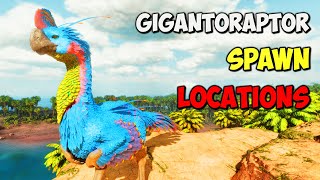 ASA The Island ALL Gigantoraptor Spawn LOCATIONS  ARK Survival Ascended [upl. by Leonerd]