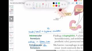 Intravascular hemolysis haematology 43 First Aid USMLE Step 1 in UrduHindi [upl. by Errol544]