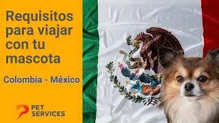 🇲🇽 Requisitos para viajar con tu mascota de Colombia a México 🐶 [upl. by Clim]