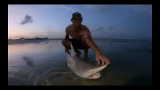 My First Spinner Shark While Surf Fishing Pawleys Island SC [upl. by Delly465]