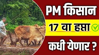 PM Kisan 17th Installment Date  pm kisan  pm kisan next installment [upl. by Grossman]