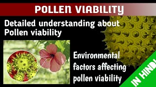 POLLEN VIABILITY amp Factors affecting pollen viability Palynology BotanyTv [upl. by Ellenohs101]