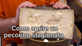 Tagliare un pecorino stagionato a regola d’arte [upl. by Naes732]