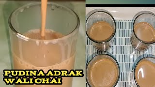 Barish Wali Chai  Quick And Easy Masala Tea Recipe  Mansun Special Pudina Wala Tea [upl. by Akihsan]