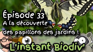 Ep33 À la découverte des papillons des jardins [upl. by Tiphani]