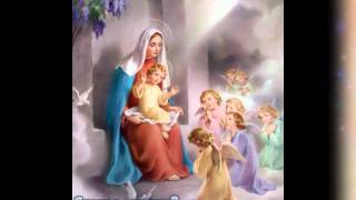 VAILANKANNI MATHA TAMIL SONGS ROMAN CATHOLIC CHRISTIAN SONG NON STOP Tamil Hymns to Mary [upl. by Notsud989]