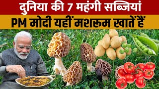 7 Most Expensive Vegetables In Word  दुनिया की 7 सबसे महंगी सब्जियां [upl. by Nitsraek278]