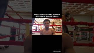 ABDULLAH MASON DESCRIBES ELITE LEVEL SPARRING WITH SHAKUR STEVENSON [upl. by Leanne]