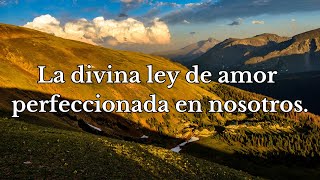 La divina ley de amor perfeccionada en nosotrosEvangelio del día [upl. by Arty906]