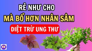 Chỉ Cần Bỏ Ra 2000đ Ăn Rau Này Tế Bào Ung Thư Tiêu Biến Sống Thọ 120 Tuổi  Sức Khỏe Tốt Nhất [upl. by Adnamra93]