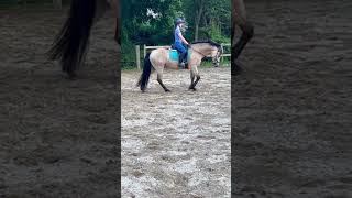 Practiced my beginner novice test today equestrian horse blowup eventer fypシ dressage [upl. by Zachar]